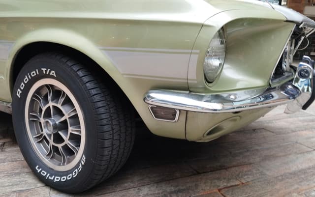Mustang